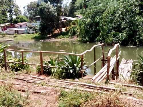 Soi canal home stay Soi canal home stay