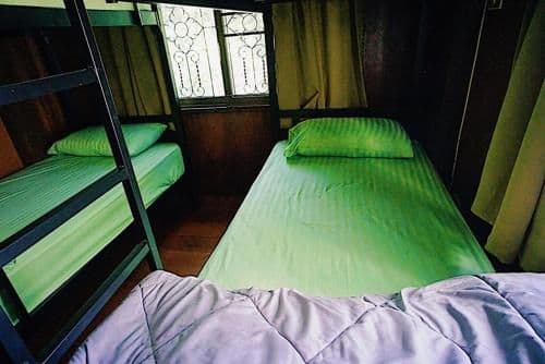 Bunk Bed in Female Dormitory Room