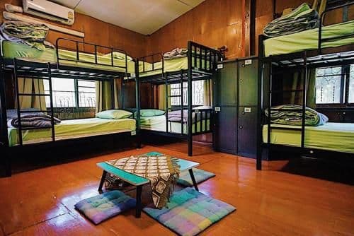 Bunk Bed in Mixed Dormitory Room
