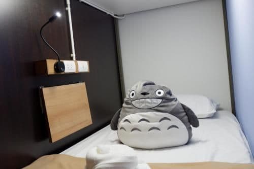 Bunk Bed in Male Dormitory Room