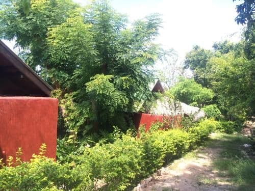 Bouganvilla Bungalow with Sea and Garden View