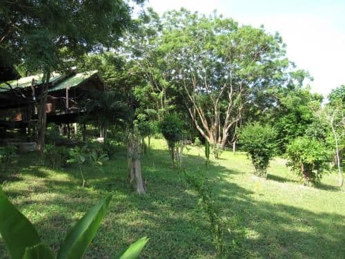 Frangipan Bungalow with Sea and Garden View