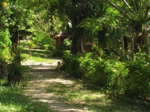 Bouganvilla Bungalow with Sea and Garden View