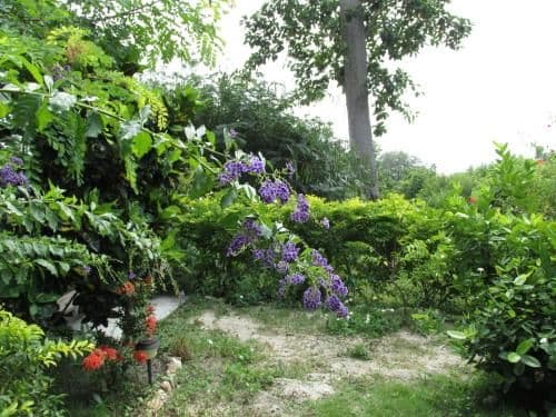 Bouganvilla Bungalow with Sea and Garden View