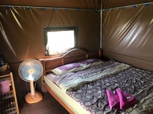 Tent