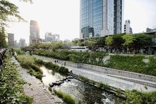 Sutton Hotel Seoul4