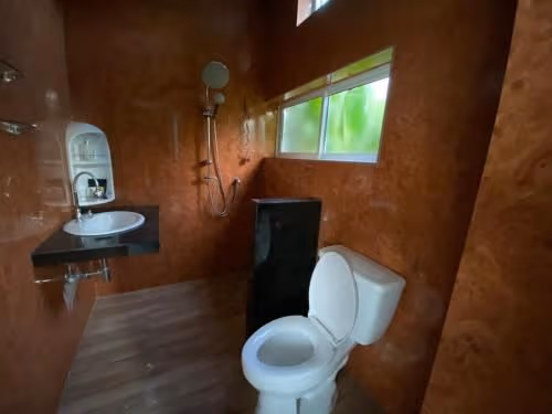 Mobile Home