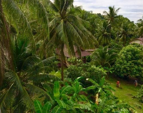 Beautiful House around the palms of Haad Salad4