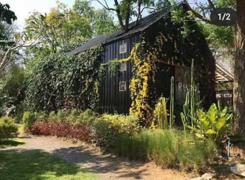 Rewild camp&cafe Rewild camp&cafe
