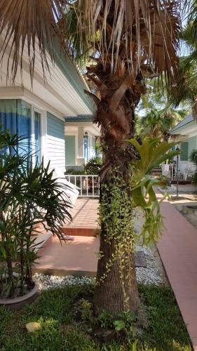 Vipha Ville Resort0