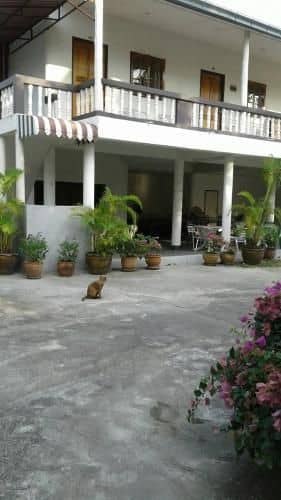 my Palace Inn my Palace Inn