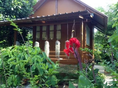 Old Barn Bungalow in Organic Garden0