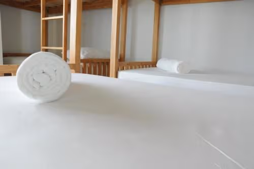 Bed in 8-Bed Mixed Dormitory Room