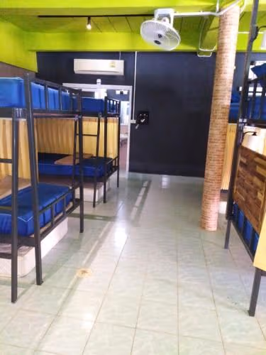 Bunk Bed in Mixed Dormitory Room