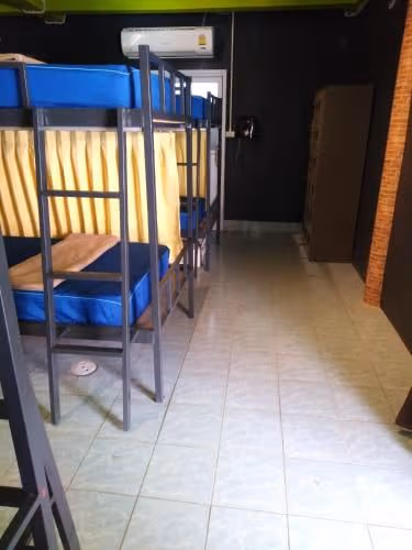 Bunk Bed in Mixed Dormitory Room