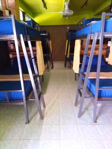 Bunk Bed in Mixed Dormitory Room