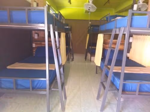 Bunk Bed in Mixed Dormitory Room