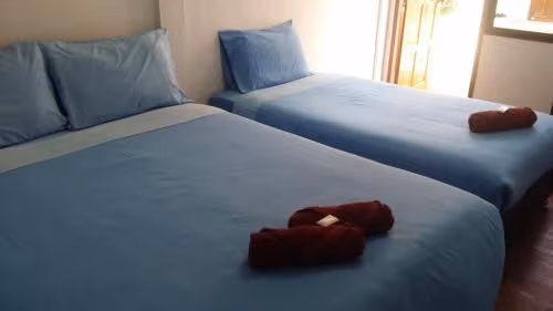 Basic Triple Room with Shared Bathroom