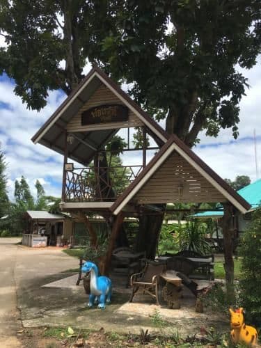 ฟอเรสท์ ร้อยเอ็ด ฟอเรสท์ ร้อยเอ็ด