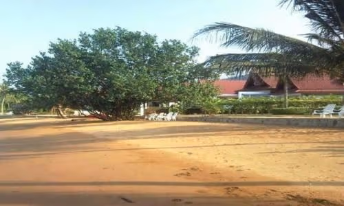 Villa with Garden View