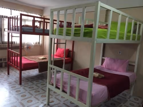 Bunk Bed in Mixed Dormitory Room