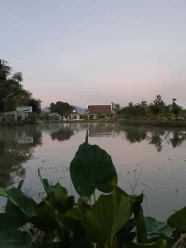 THE SUKHOTHAI HOUSE THE SUKHOTHAI HOUSE