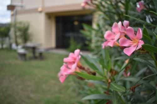 Lanna Villa Design By Yui 10 mins to Nimman Lanna Villa Design By Yui 10 mins to Nimman