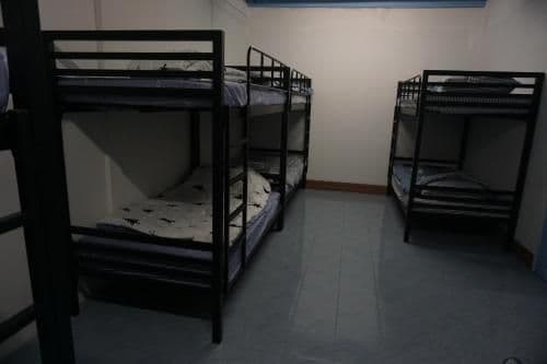 Bunk Bed in Mixed Dormitory Room