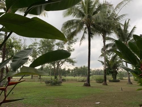 Studio Apartment Allamanda Phuket, Nr. 24