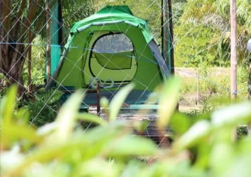 Tent