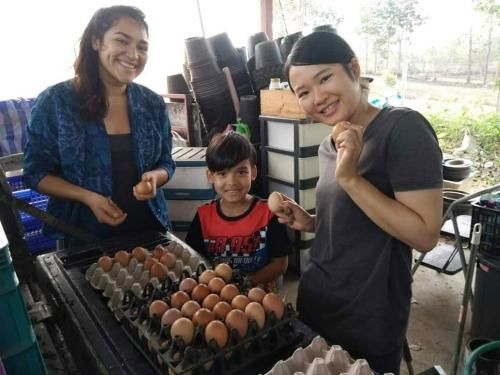 Tantai Farm Stay2