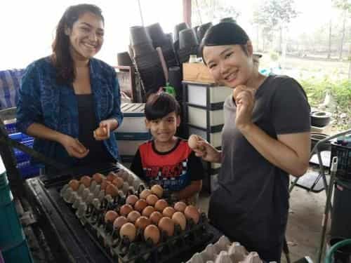 Tantai Farm Stay Tantai Farm Stay