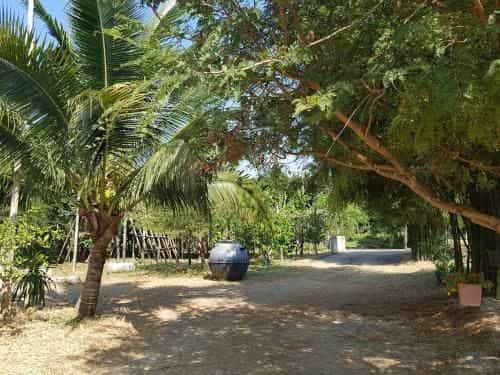 Daung Dao Resort Daung Dao Resort