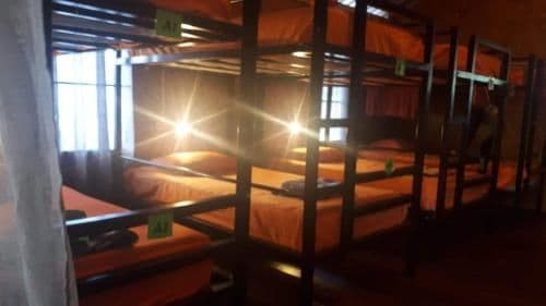 Bed in 8-Bed Dormitory Room