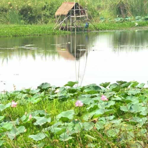 James & oi homestay James & oi homestay
