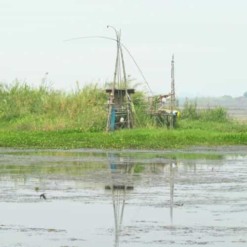James & oi homestay James & oi homestay