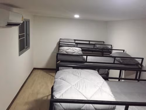Bunk Bed in Mixed Dormitory Room
