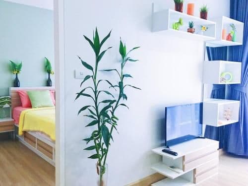Green Home 1br Terrace, Pool, Gym Near Nice Beach Green Home 1br Terrace, Pool, Gym Near Nice Beach