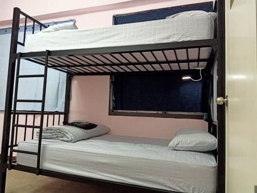 Bunk Bed in Mixed Dormitory Room