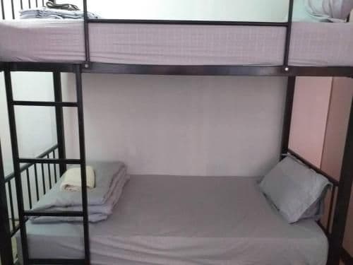 Bunk Bed in Mixed Dormitory Room