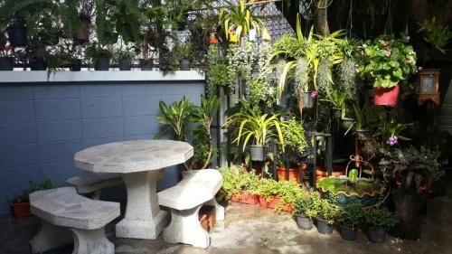Private luxury garden villa in the city center near the beach (only 150 meters)2