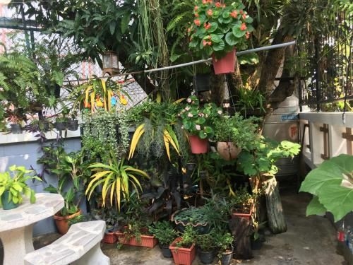Private luxury garden villa in the city center near the beach (only 150 meters)3