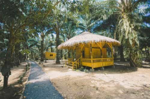 บ้านสวนลุงวัฒ โฮมสเตร์ บ้านสวนลุงวัฒ โฮมสเตร์