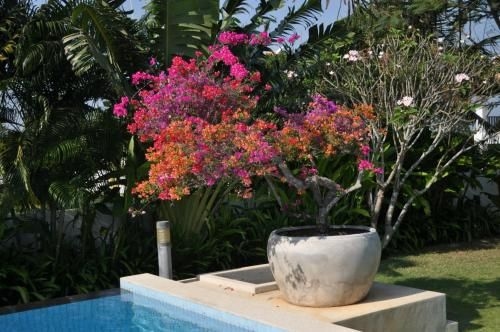 Balinese villa with private pool (Balinese Villa With Private Pool)1