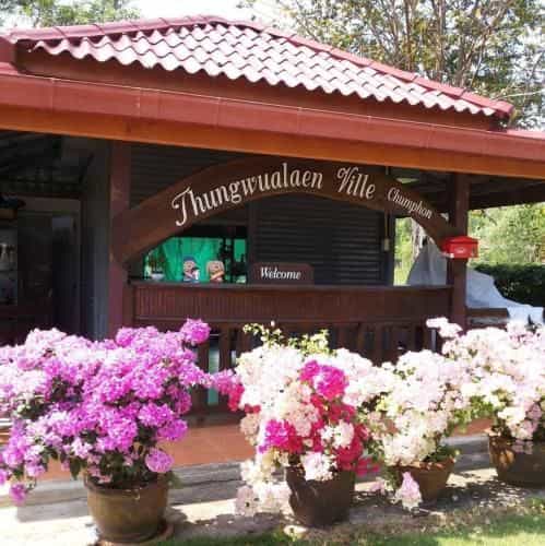 ทุ่งวัวแล่นวิลล์ชุมพร ทุ่งวัวแล่นวิลล์ชุมพร