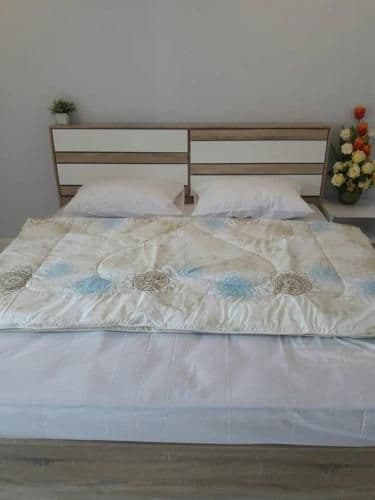 Mixed Dormitory Room