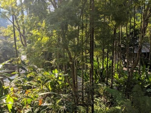 Banbangnon Homestay Banbangnon Homestay