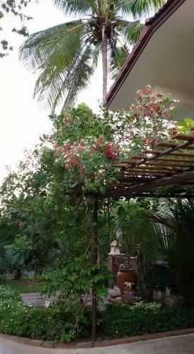 Periwinkle Villa4