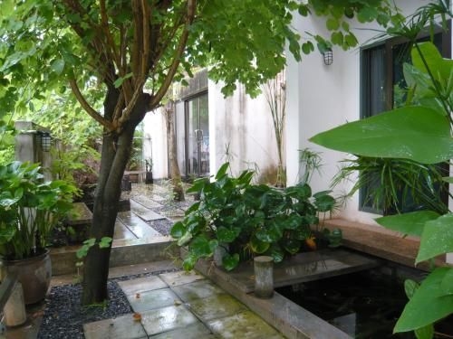 The Terrace Resort2