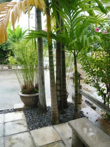 The Terrace Resort3